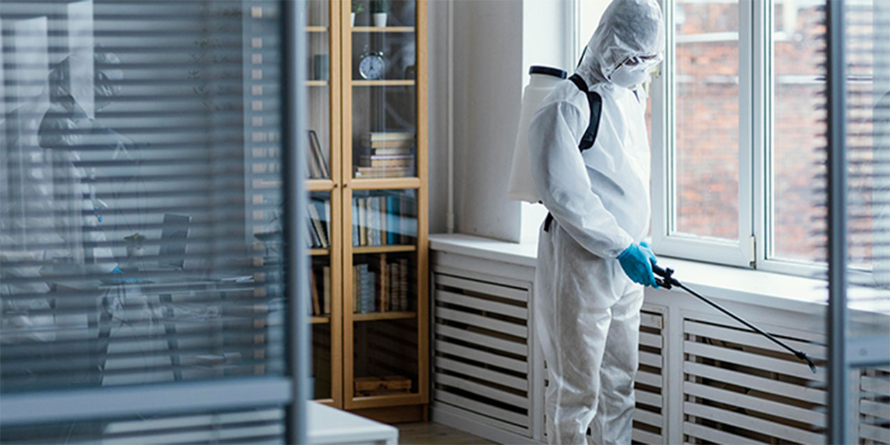 Böcek ilaçlama hizmetleri ile yaşam alanlarınızı koruyun