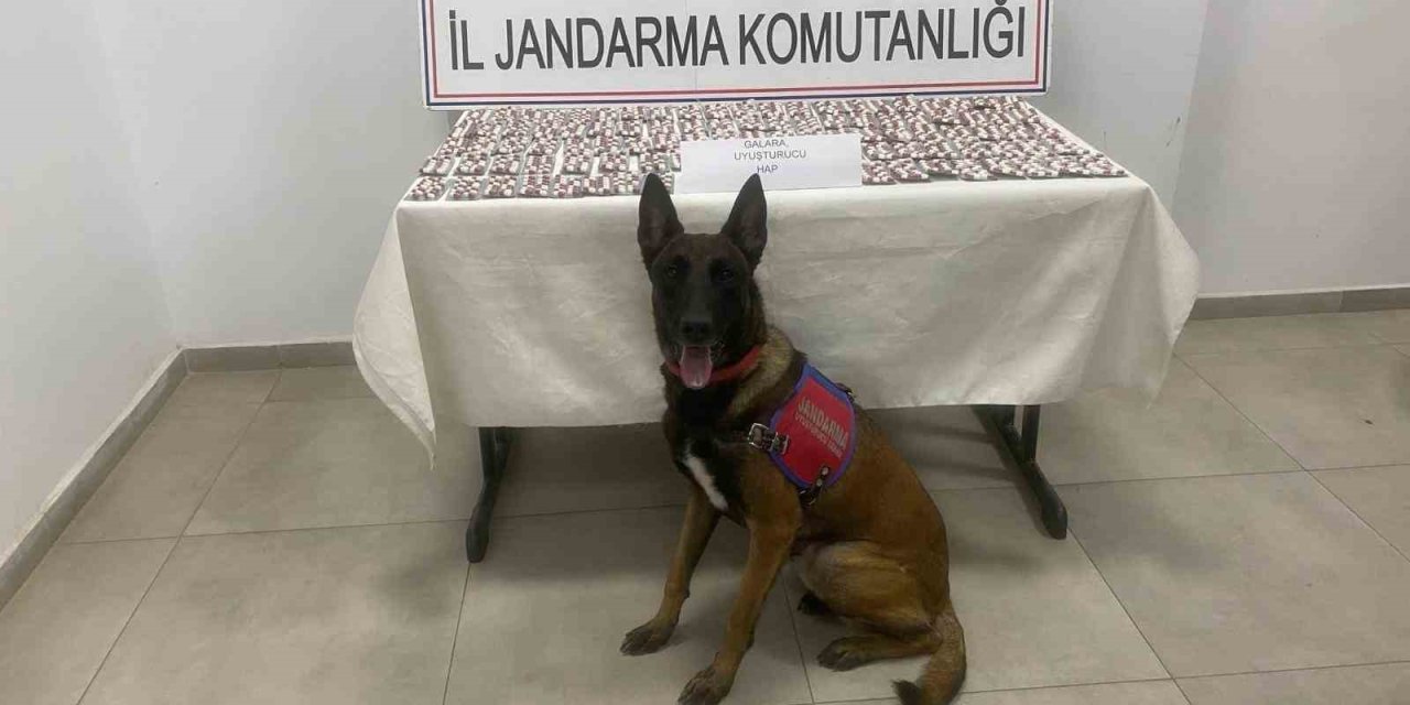 Aydın’da jandarmadan uyuşturucu operasyonu: 3 gözaltı