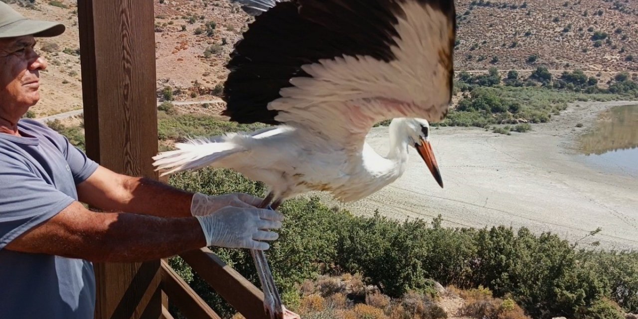 Aydın’da kurtarılan leylek ve flamingo doğaya salındı