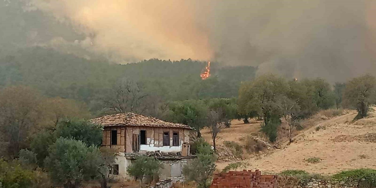 Denizli-Aydın il sınırında 4 gündür devam eden yangında bir köy tahliye ediliyor
