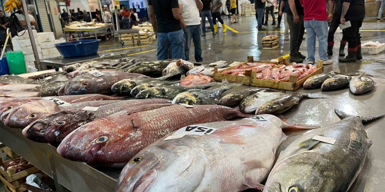 Av sezonu başladı, İzmir Balık Hali bereketle doldu