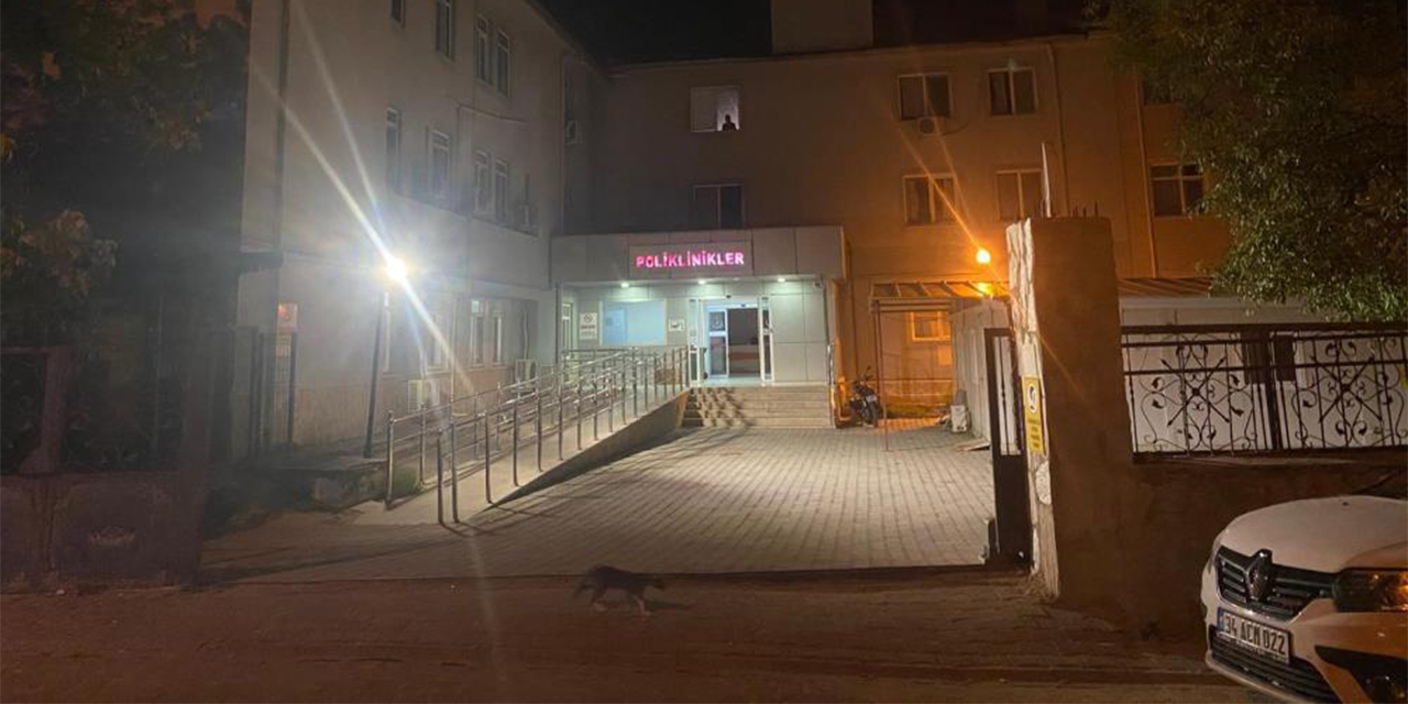 Denizli-Aydın sınırındaki yangın büyüyor: 84 ev ve hastane boşaltıldı