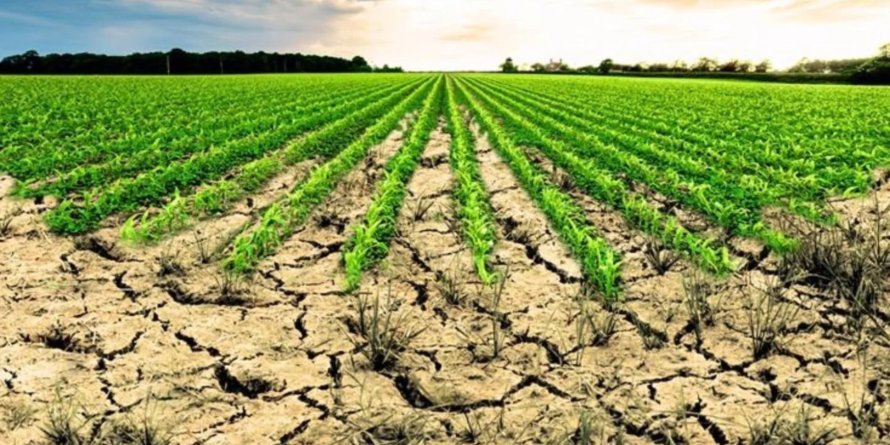 Aydın’da işlenmeyen tarım arazilerinin listesi ilan edildi