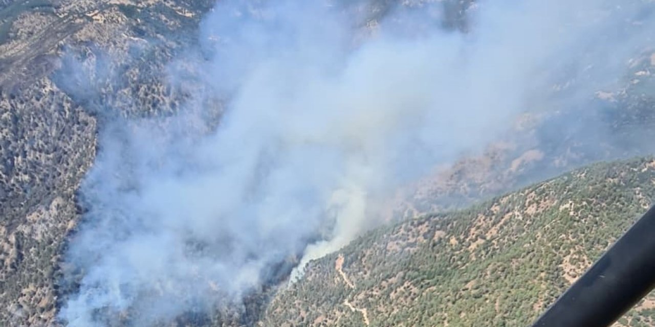 Ot temizlemek isterken ormanı yakan 3 şüpheli gözaltına alındı