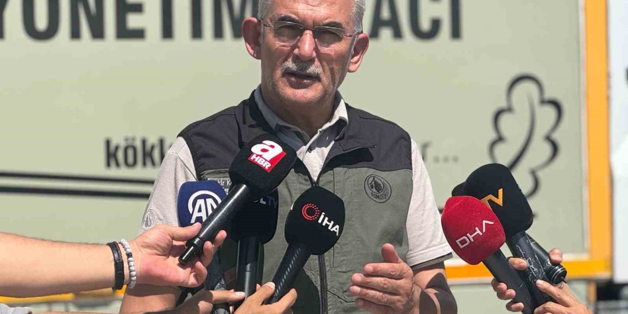 Orman Genel Müdürü Karacabey: "Yangın güney ve kuzey hatlarında yoğunlaşıyor"