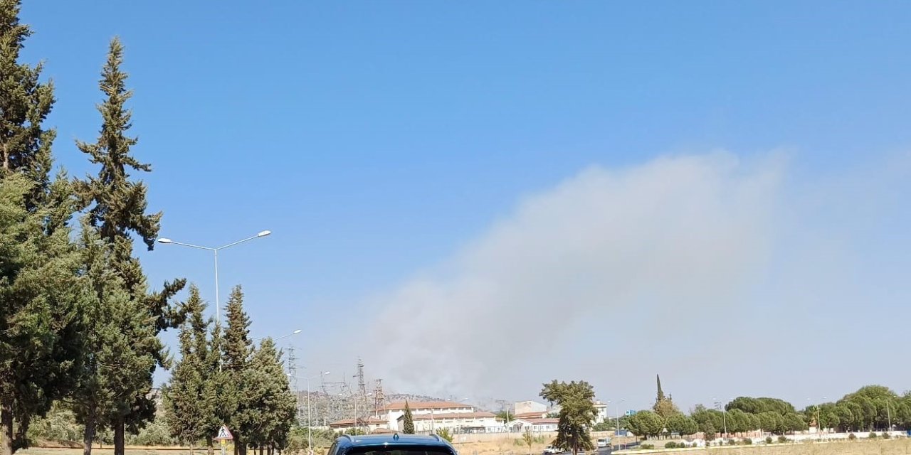 Aydın’da zirai alan yangını