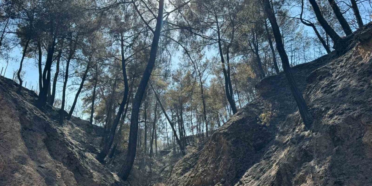 Evini yangından korumak için mücadele ederken kalp krizi geçirdi