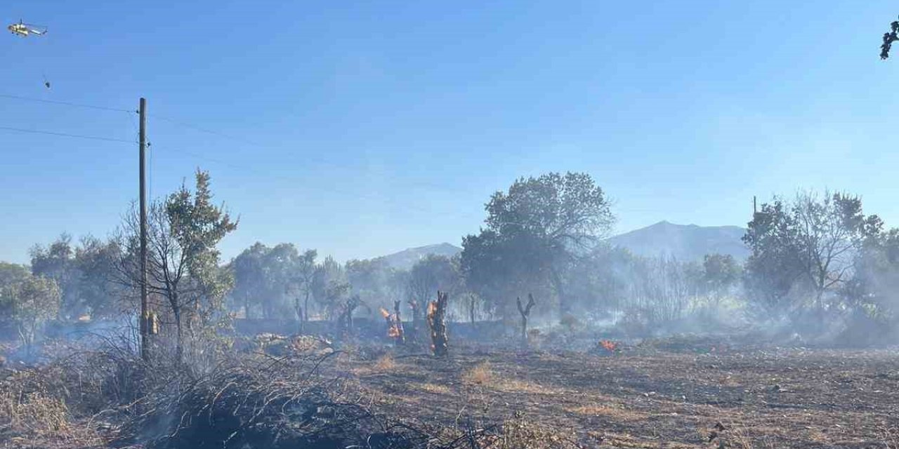 Yatağan’da tarlada çıkan yangın ekipler tarafından söndürüldü