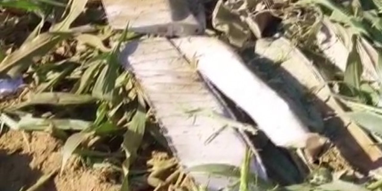 Eğitim amaçlı havalanan bir helikopter, İzmir’in Torbalı ilçesine bağlı Kırbaş Mahallesi’nde mısır tarlasına düştü. Olayda 1 pilot hayatını kaybetti.