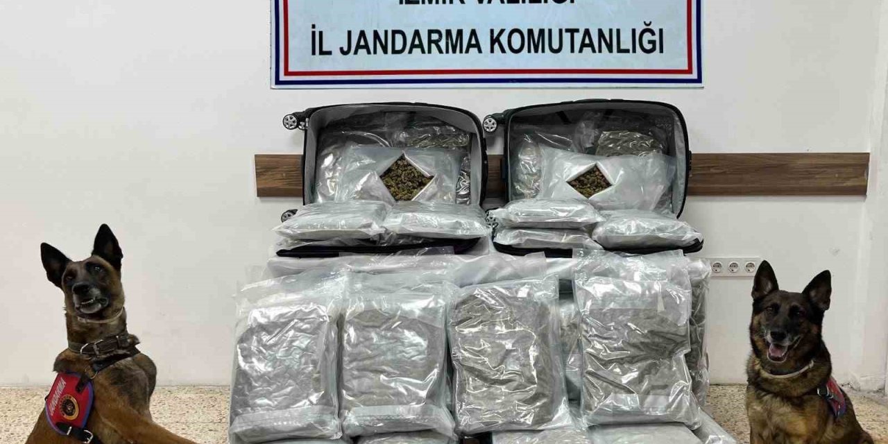 İzmir’de uyuşturucu ticaretine Jandarmadan geçit yok