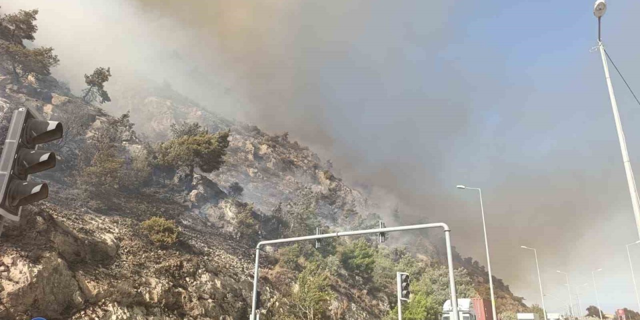 Söke’de makilik alan yangını, söndürme çalışmaları sürüyor