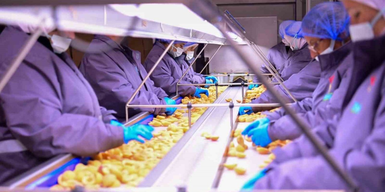 Vali Canbolat, Köşk’te gıda tesisini inceledi