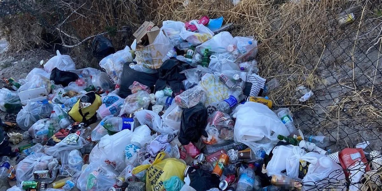 Dikili Belediyesi Pissa Koyu çöplüğe çevrildi