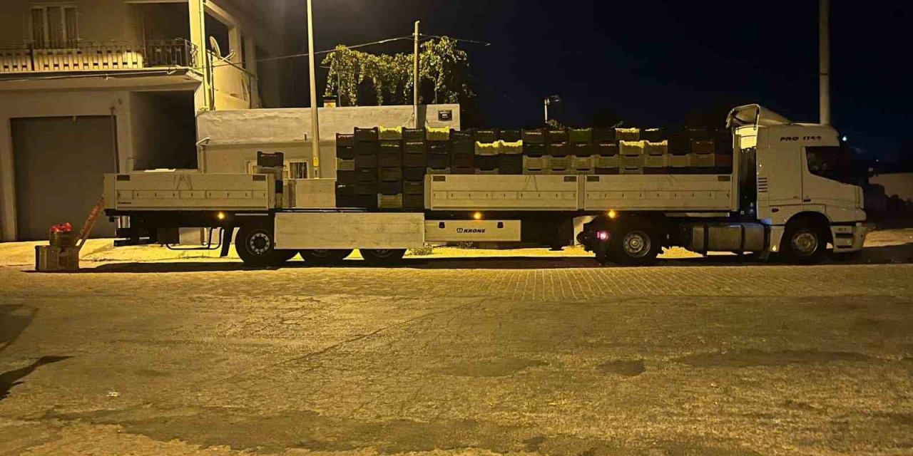 Kardeşköy’de bamya sezonu hız kesmiyor