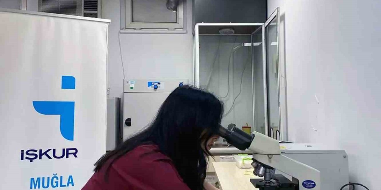 Muğla’da Kadın İstihdamında Artış