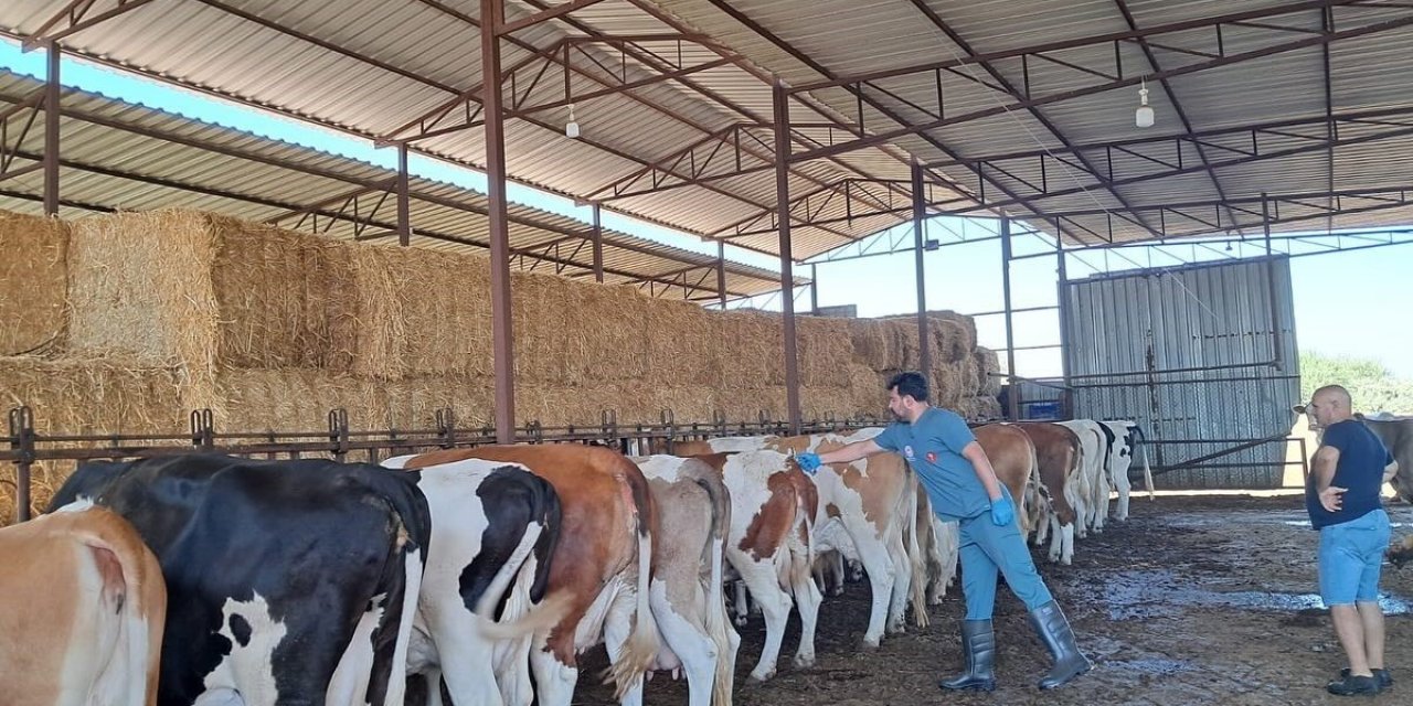 Nazilli’de 14 mahalle karantinaya alındı