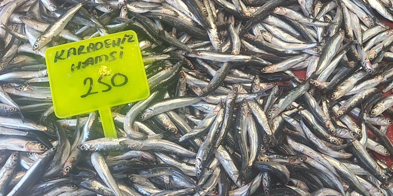 Muğla’da Karadeniz hamsisi kilosu 250 TL’den satışta