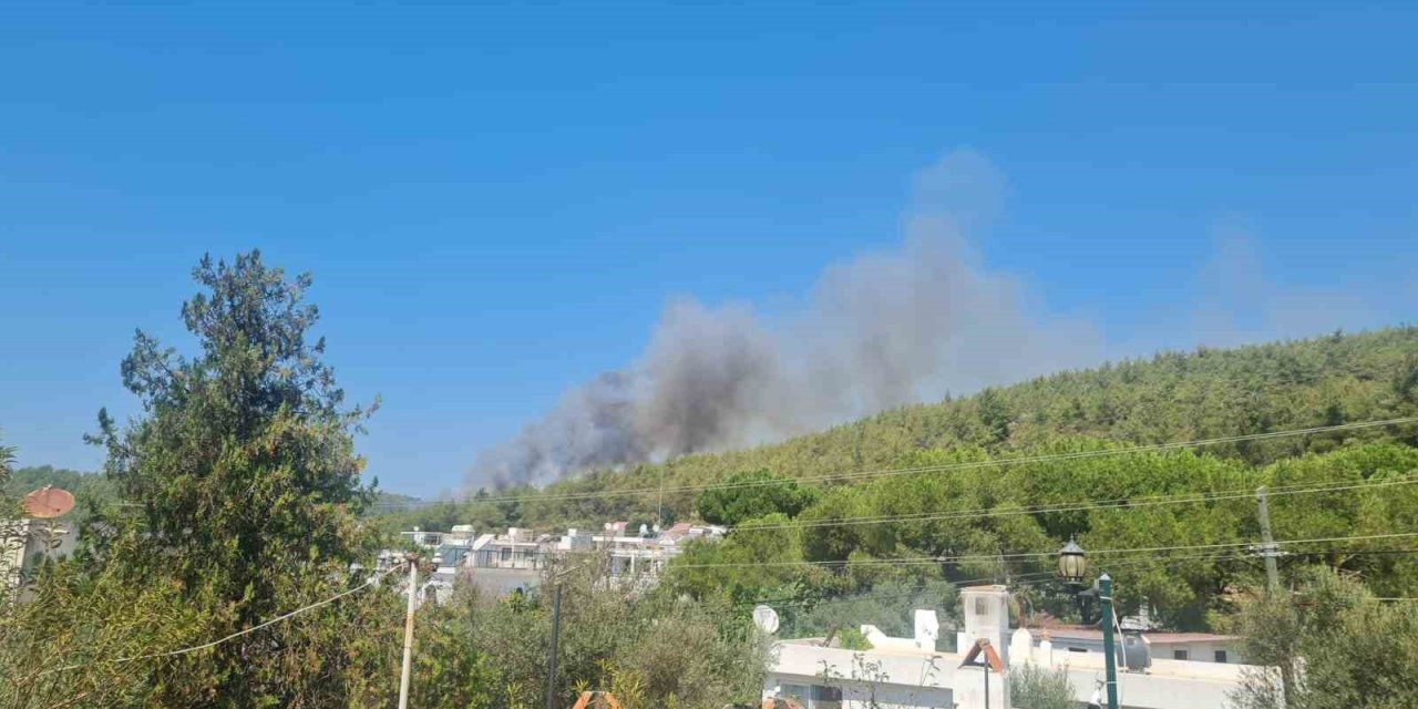 Bodrum’da orman yangını başladı