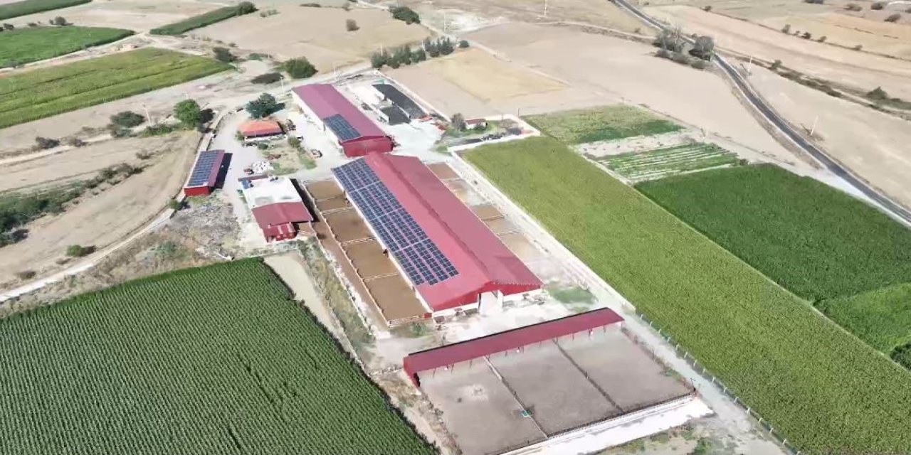 Denizli tarımı desteklerle güçleniyor