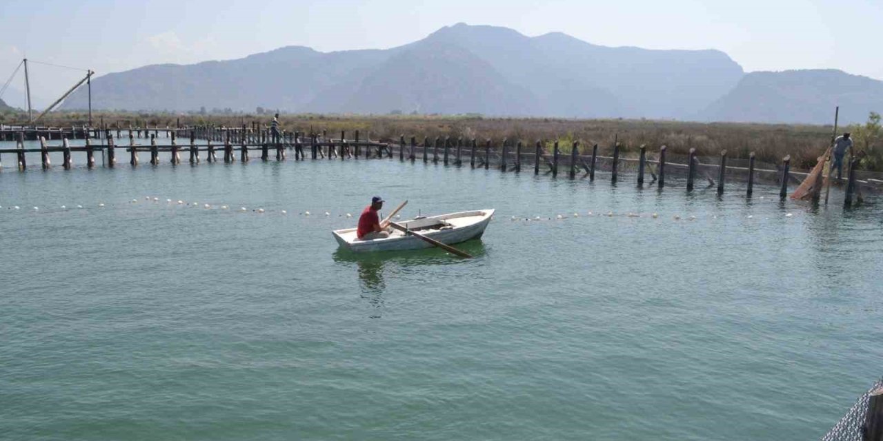 Havuzlar açılmadı, tonlarca balık telef oldu iddiası