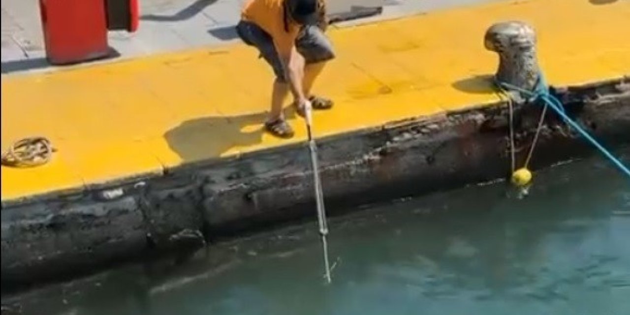 Nesli tehlike altındaki balığı limanda zıpkınla vurdular