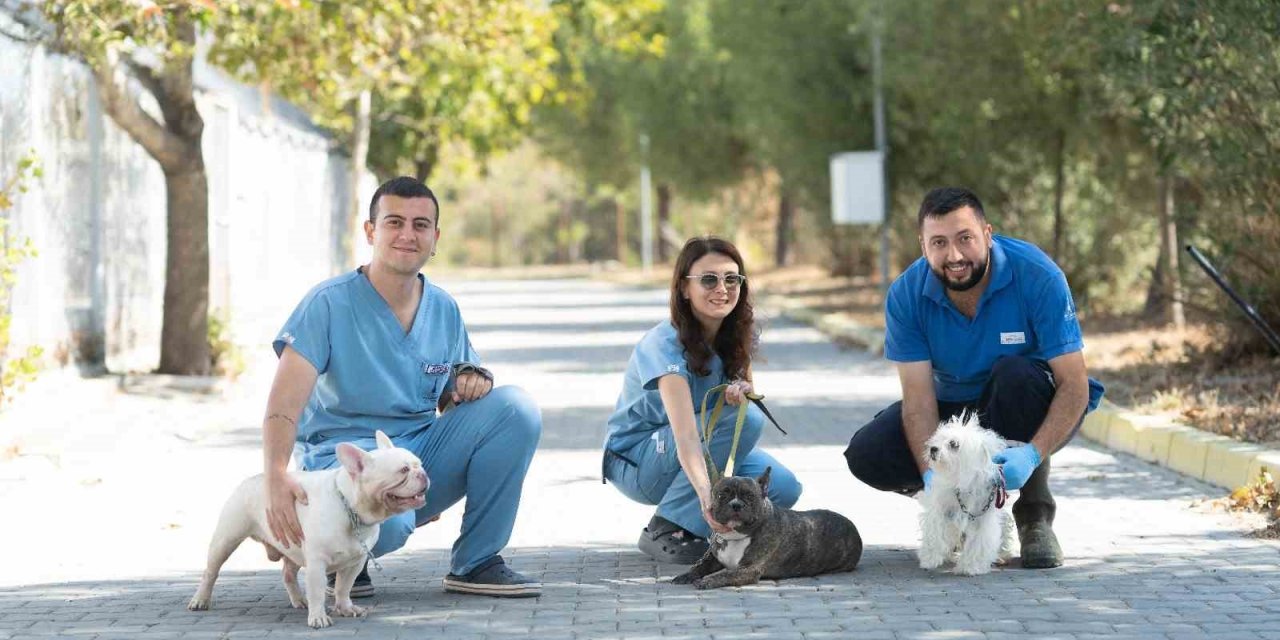 İzmir’de el konulan 20 cins köpek Işıkkent Köpek Bakımevi’nde