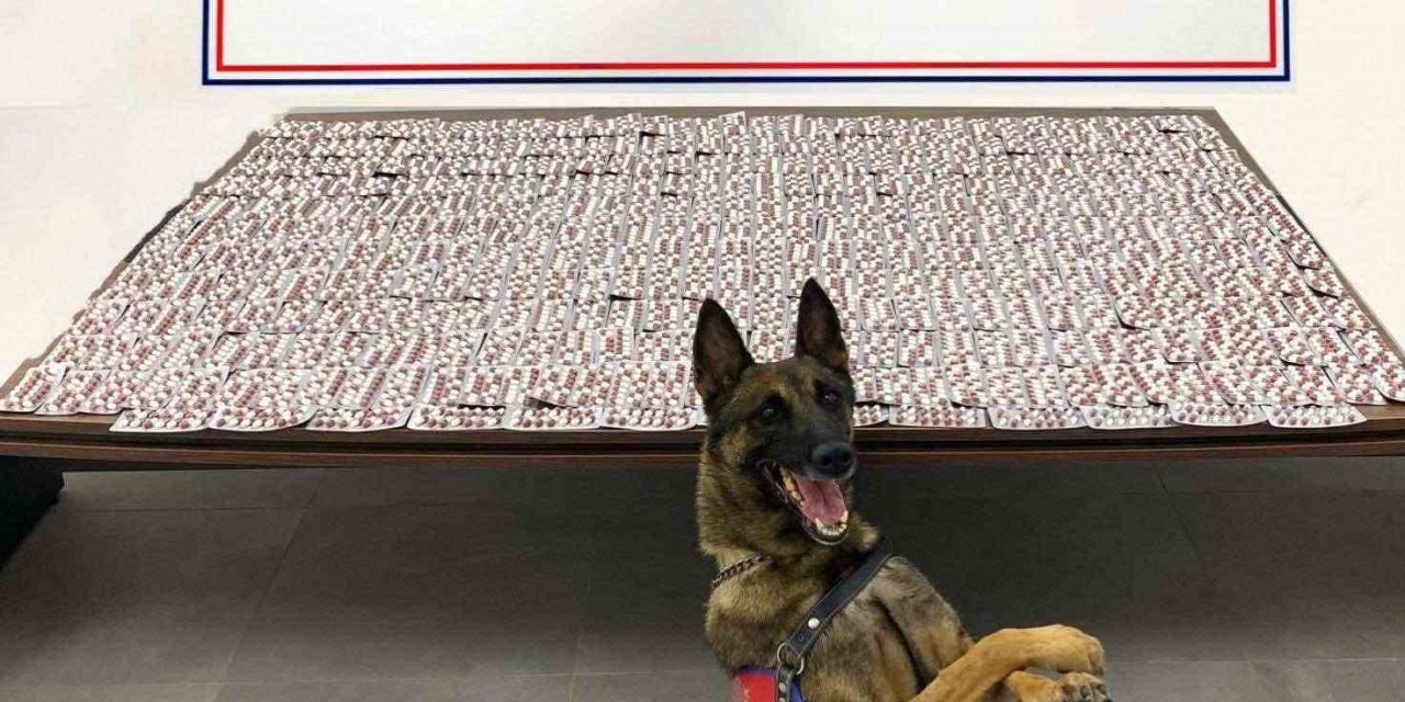 Denizli’de jandarma uyuşturucu tacirlerine geçit vermiyor