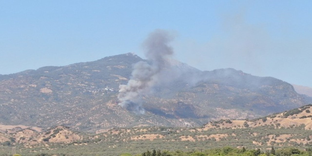 Aydın’da zirai alan yangını