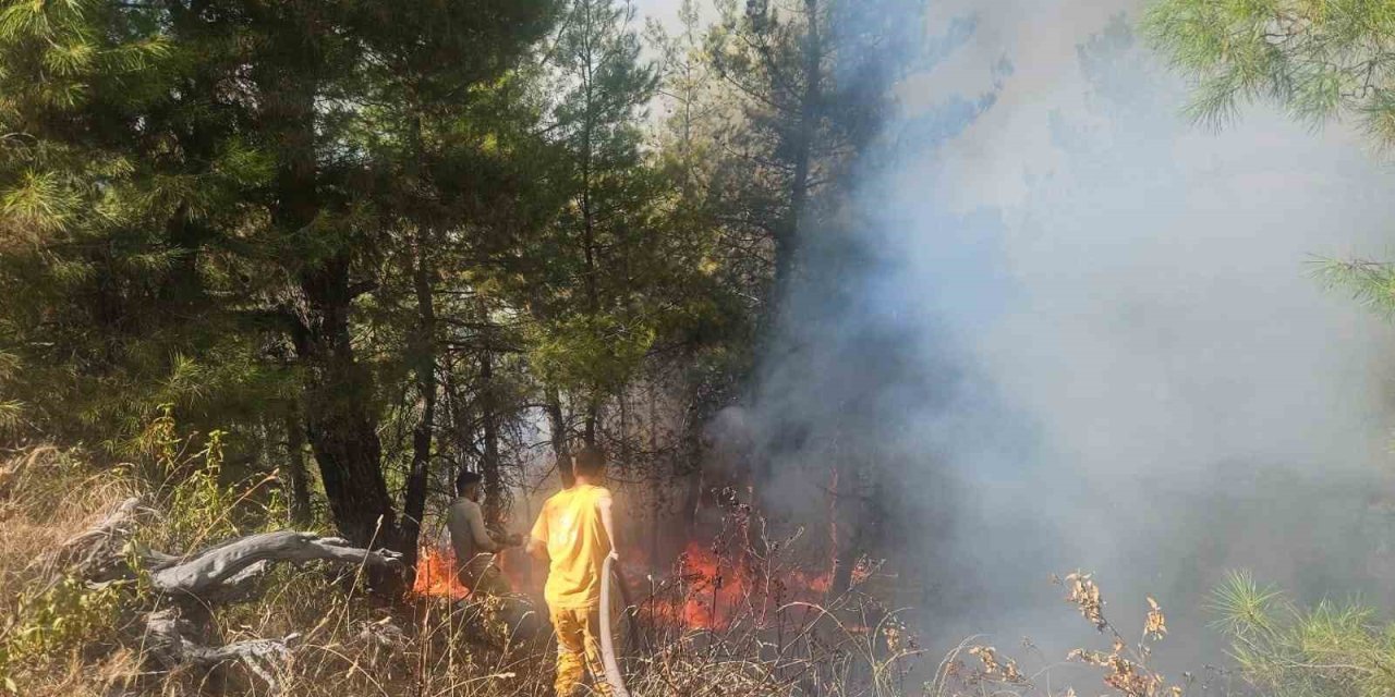 Buldan’daki orman yangınına havadan müdahale başladı