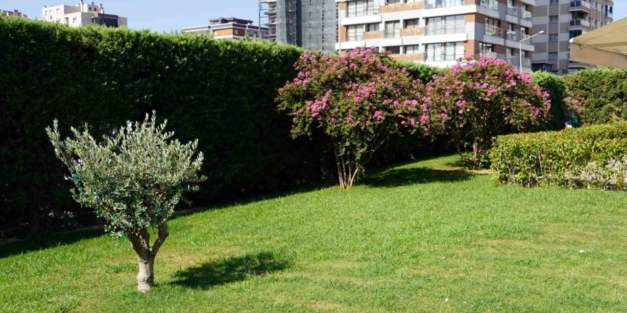 İçerisi şifa, dışarısı botanik bahçesi