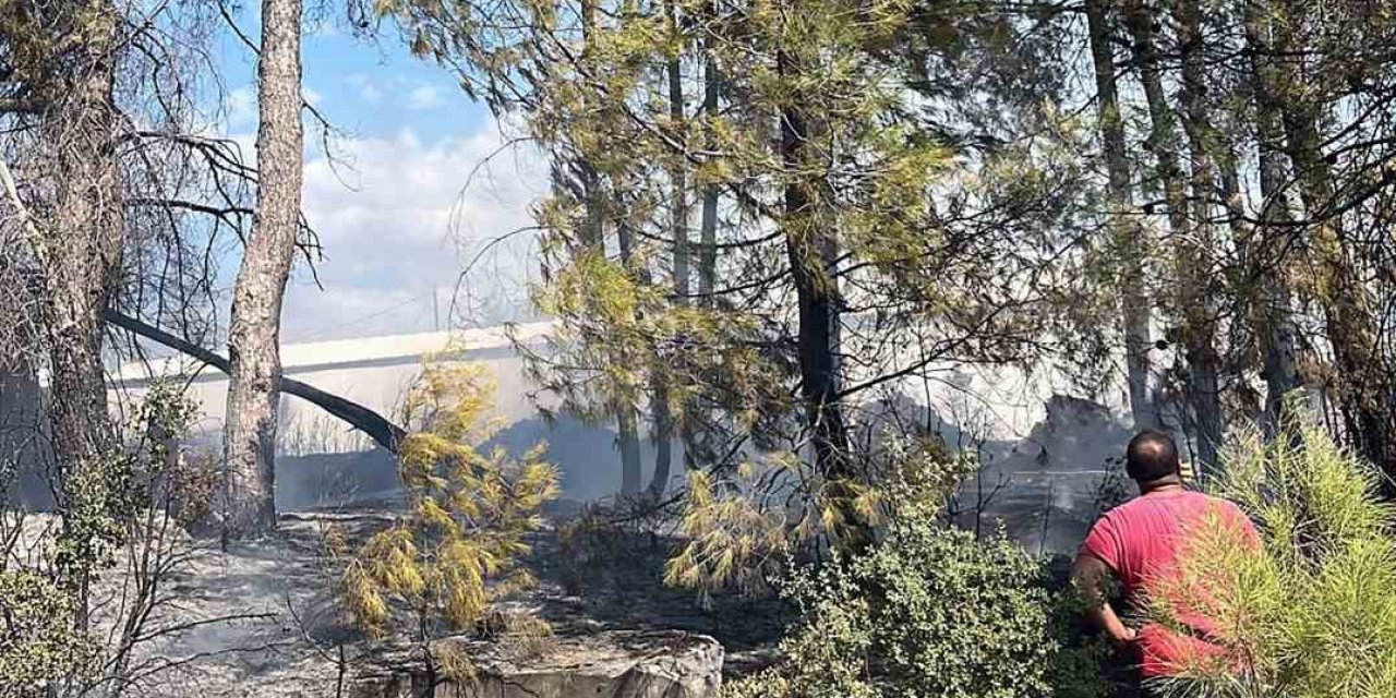 Menteşe’deki yangın kısa sürede söndürüldü