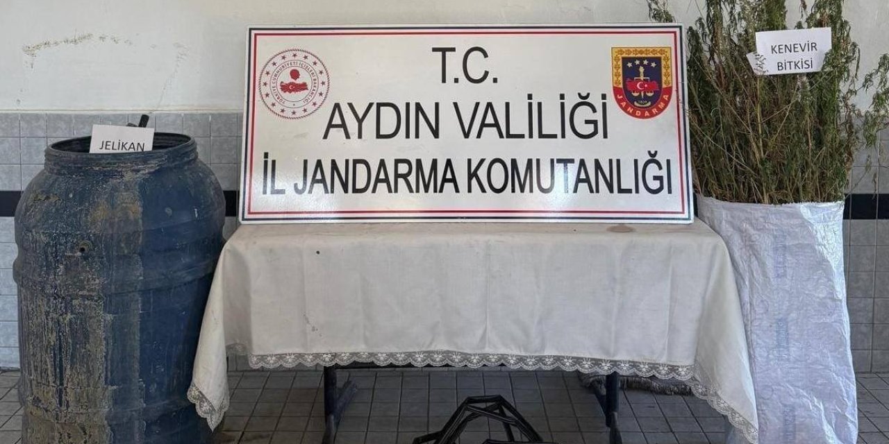 Buharkent’te 40 kök kenevir ele geçirildi