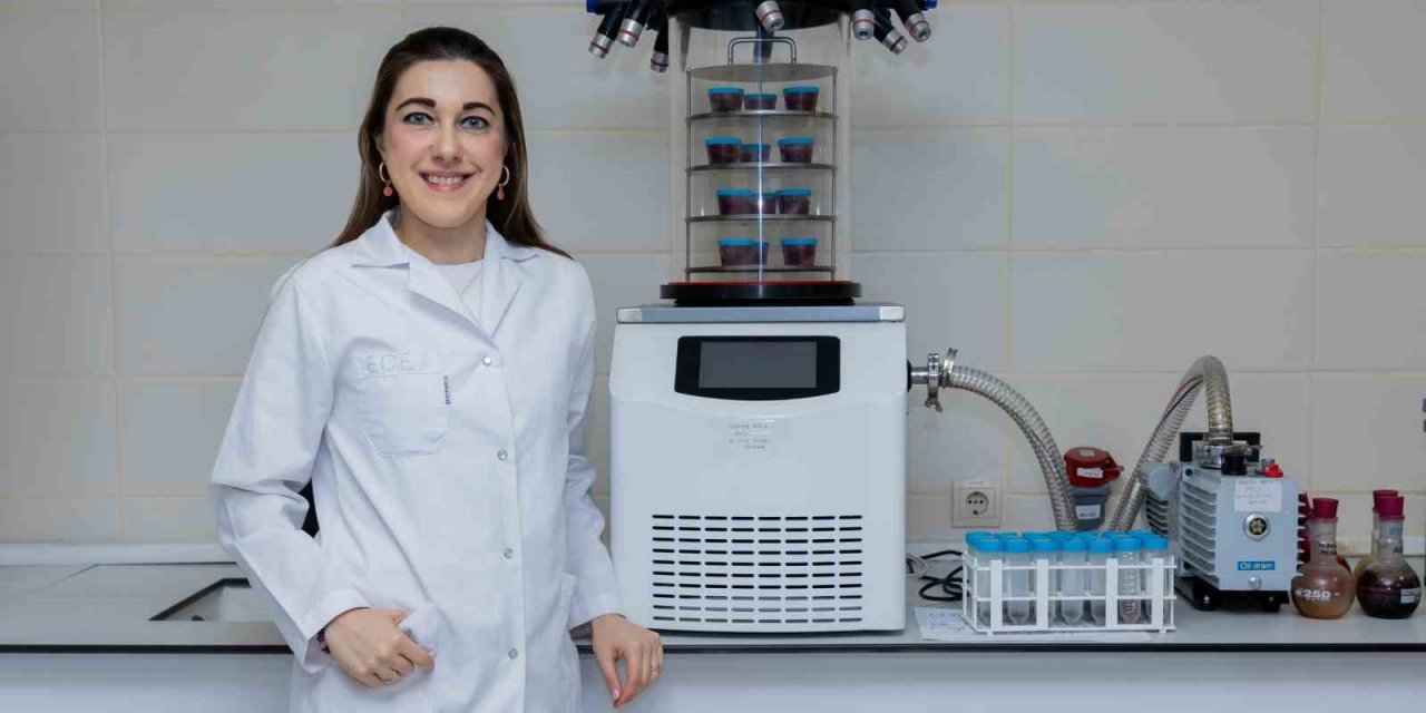 Pestisit sorununa dijital çözüm: Yapay zeka tarımda güvenliği artırıyor