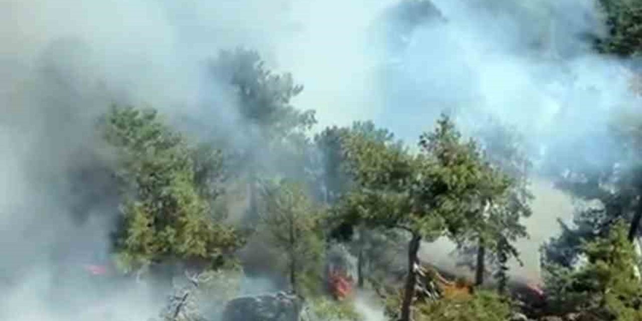 Köyceğiz Otmanlar yangını devam ediyor