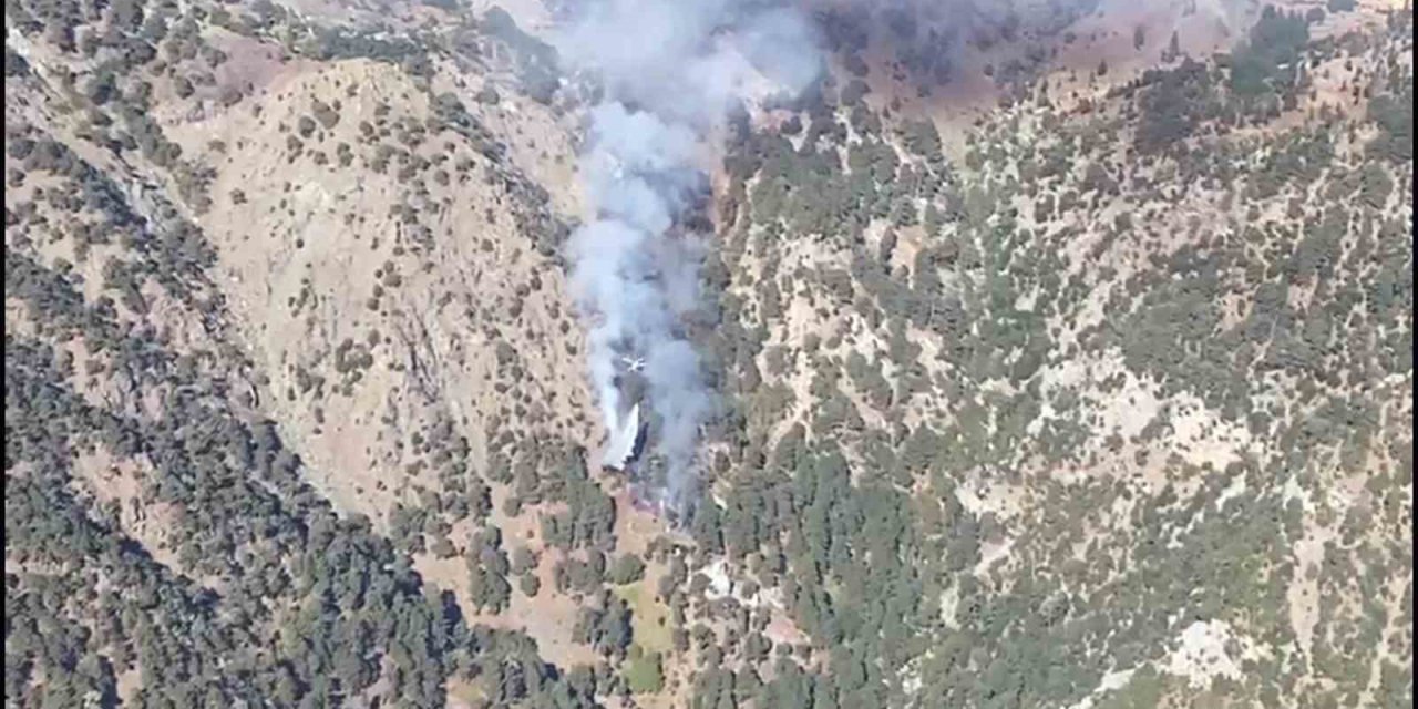 Köyceğiz yangını kontrol altında