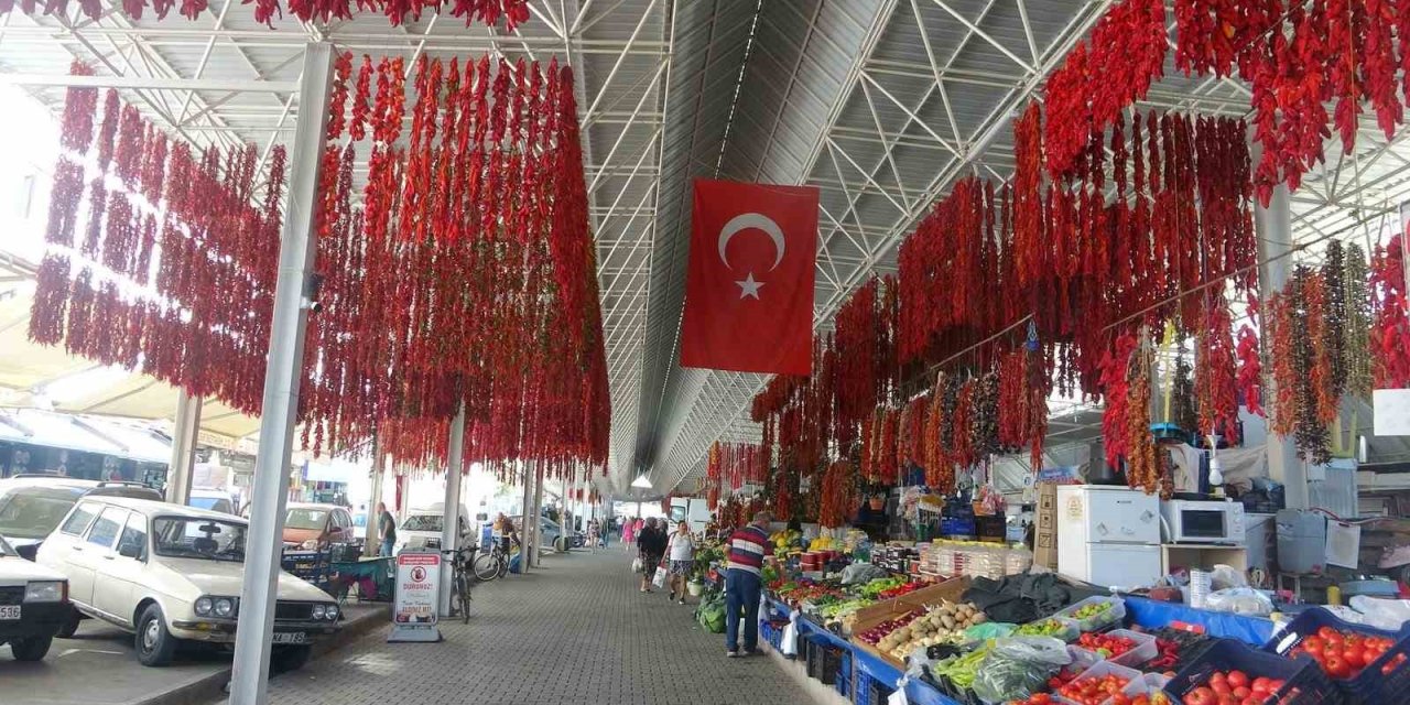 Muğla’da kurutmalıklar yurt dışına açıldı