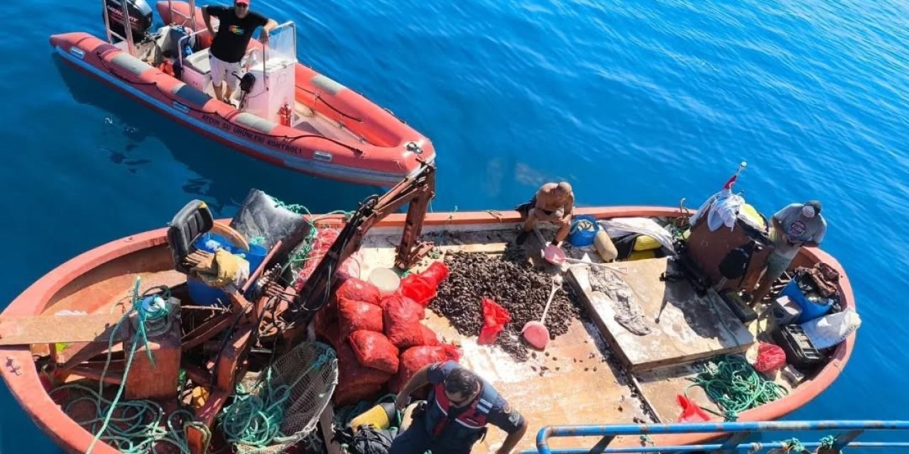 Kaçak avlanan 600 kilo midye tekrar denize bırakıldı
