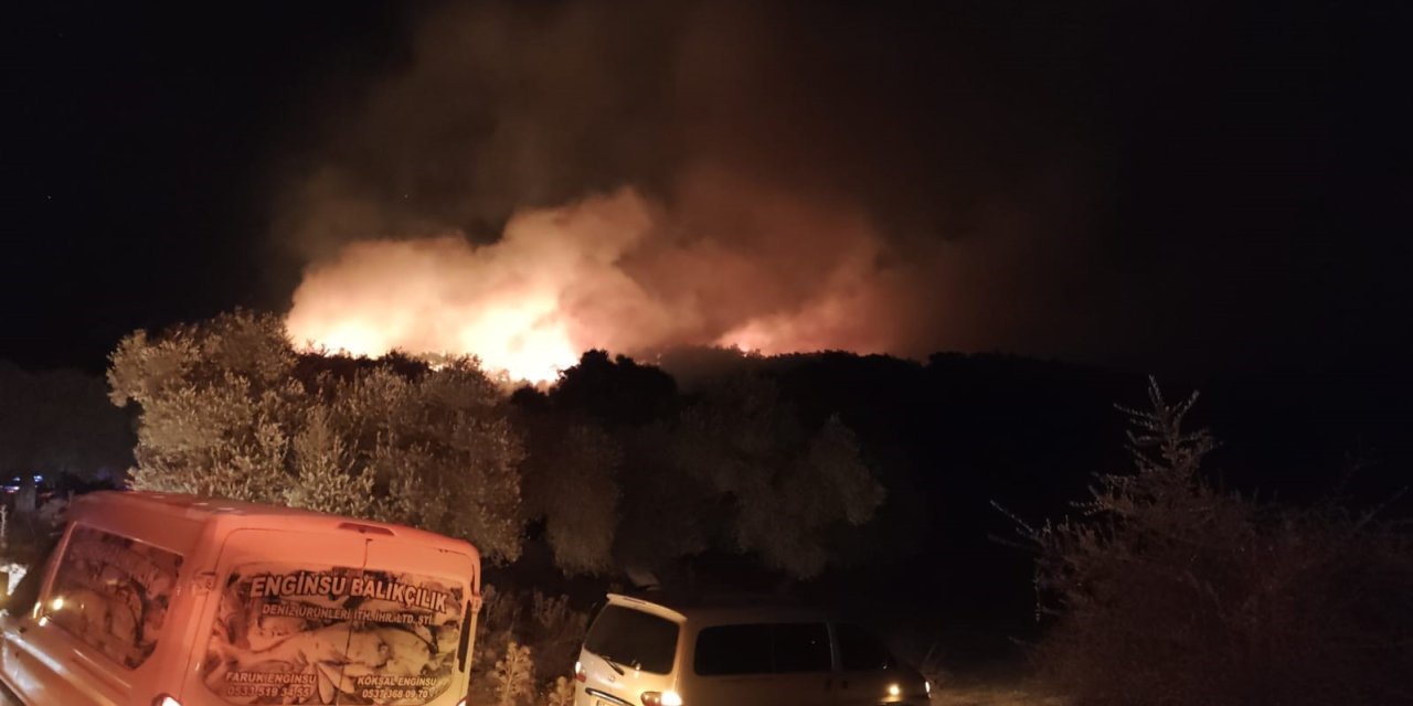 Milas’ta orman yangını