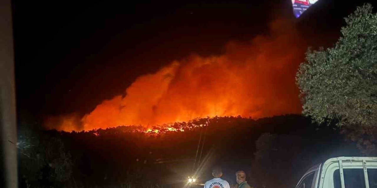 Milas’ta orman yangını müdahale devam ediyor