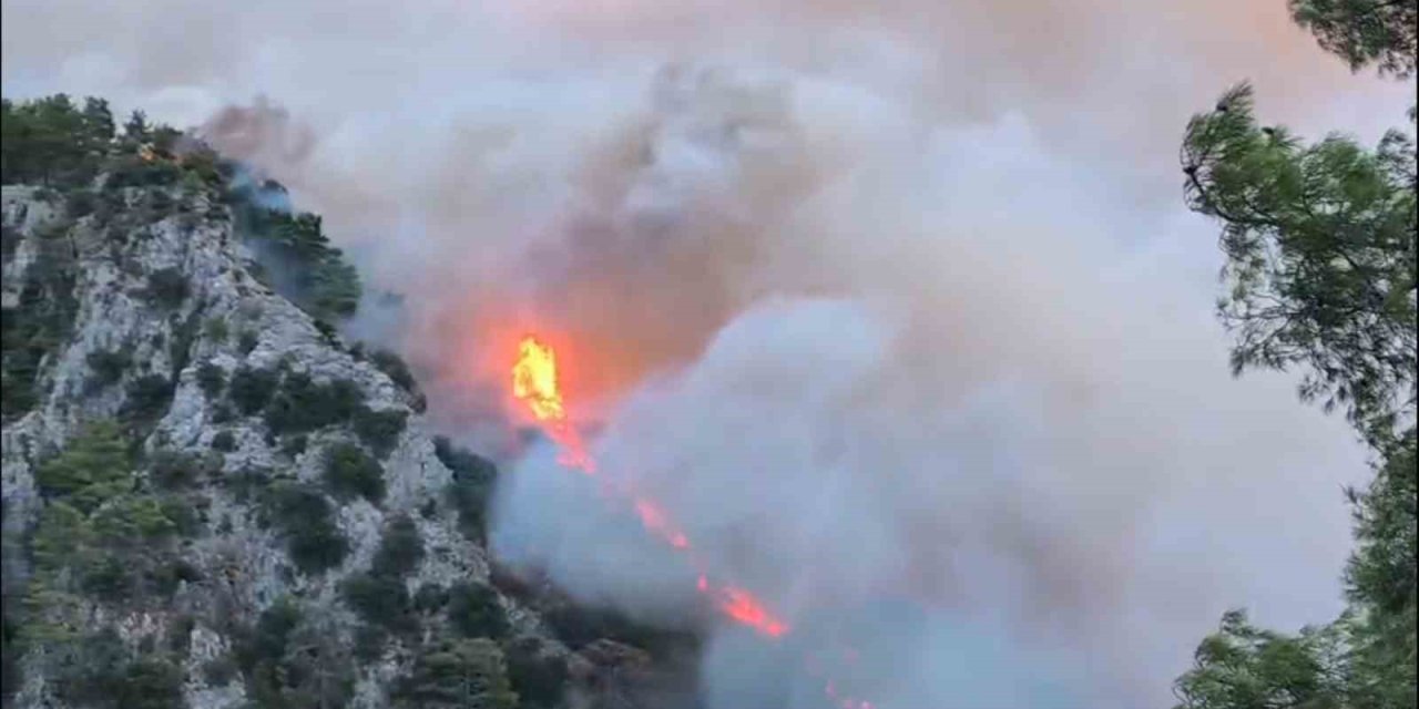 Muğla’daki yangınlara havadan müdahale başladı