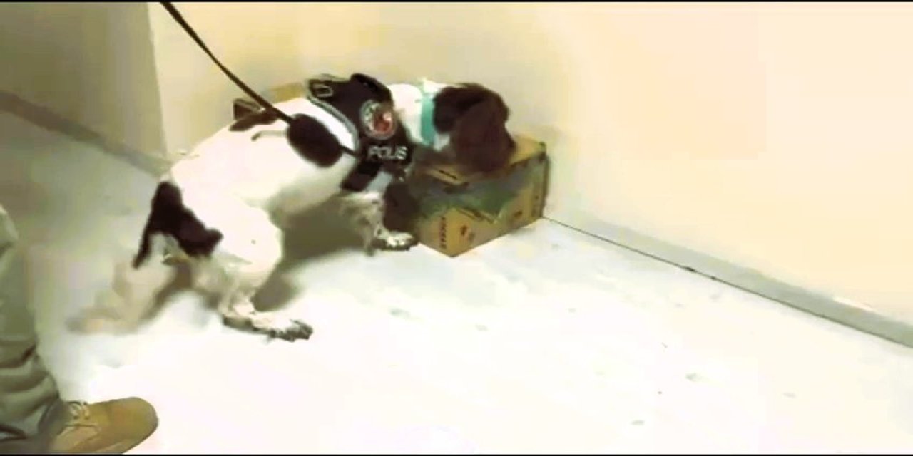 Otobüsle getirdiği 4,5 kilo uyuşturucuyu satamadan yakalandı