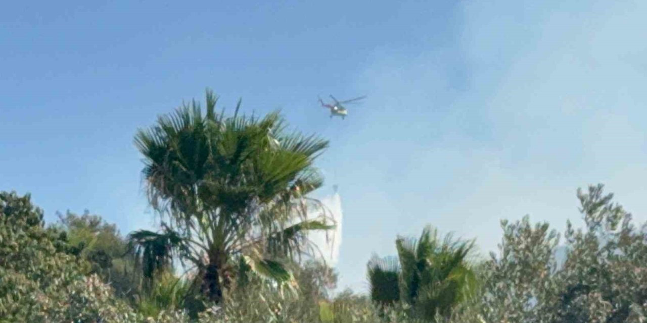 Muğla’da ekipler 3 bölgede alevlerle mücadele ediyor