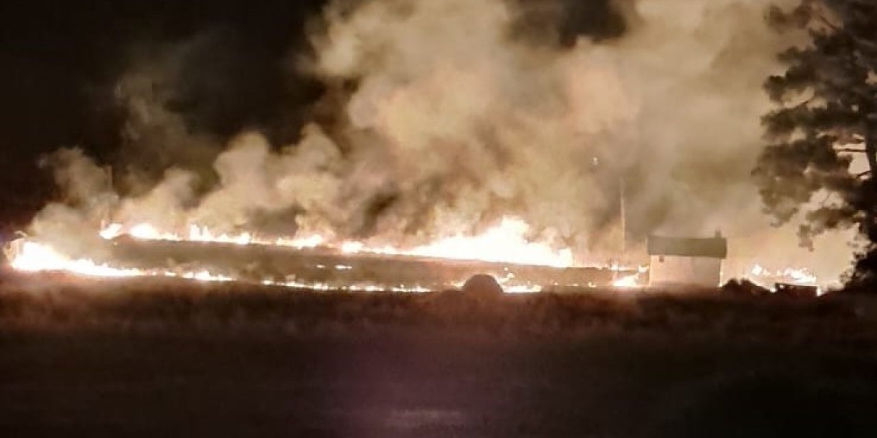 Ormanlık alana yakın mesafede yangın çıktı