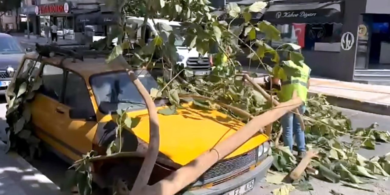 Söke’de ağaç dalı park halindeki aracın üzerine düştü