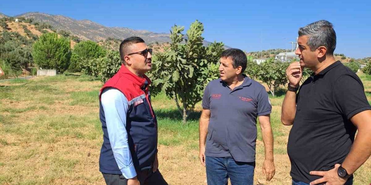 Köşk’te tarımsal zararlılarla mücadele için sahaya indiler