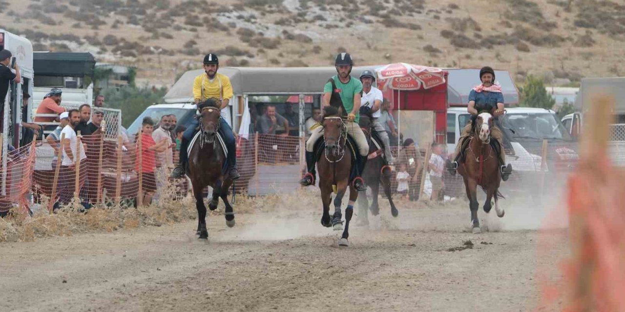 Türkiye’nin en başarılı atları Menemen’de yarışacak
