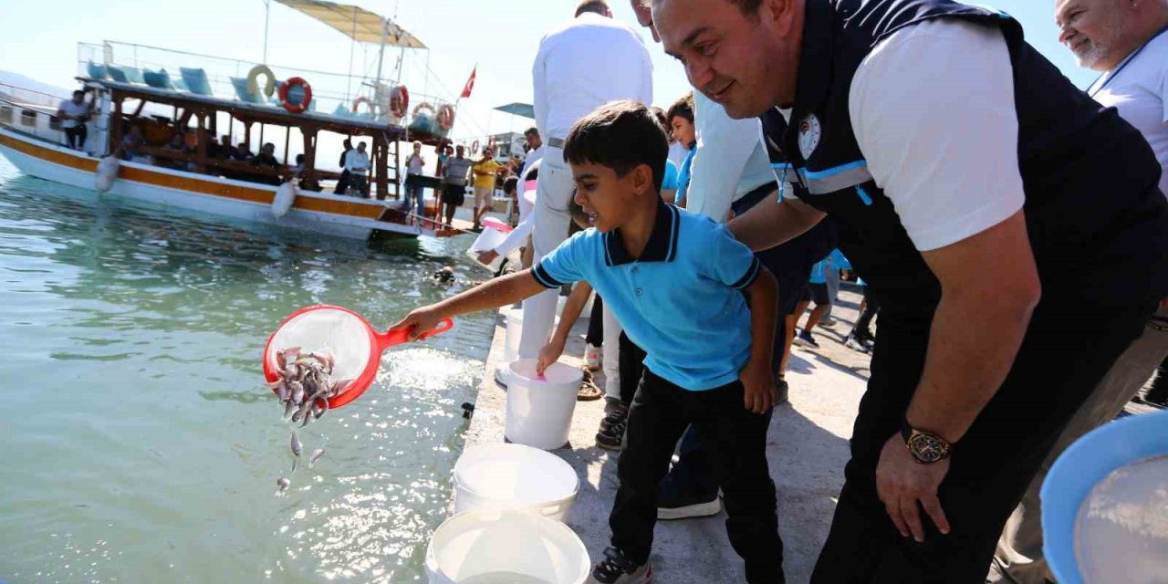 Milas Boğaziçi’ne 150 bin çipura ve 10 bin levrek yavrusu bırakıldı