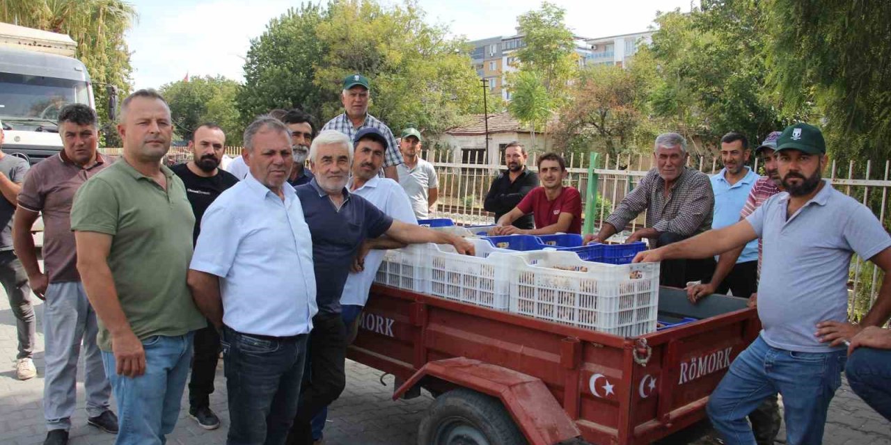 TARİŞ alımları erken kapattı, üretici tüccara tepki gösterdi