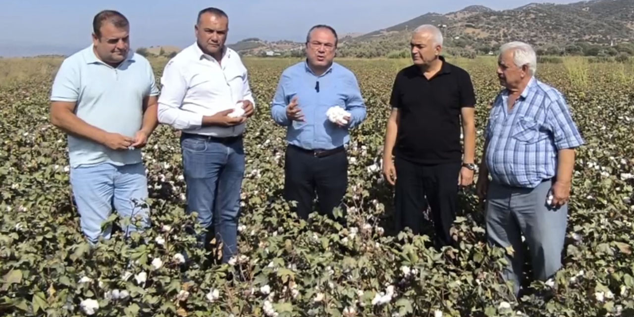 CHP’li Karakoz: “Pamuk fiyatı en az 50 lira olmalı”