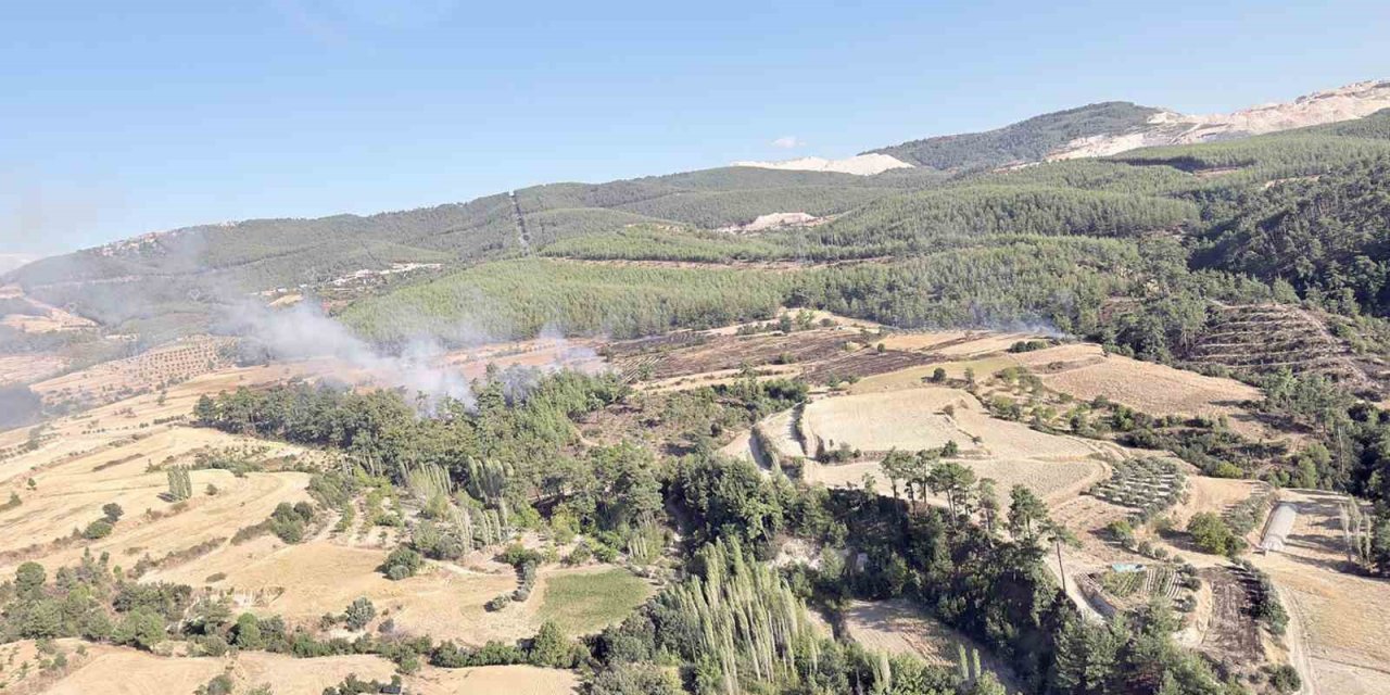 Kavaklıdere-Bozdoğan sınırındaki yangını kısa sürede söndürüldü
